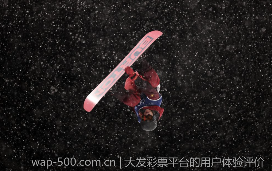 大发彩票平台的用户体验评价